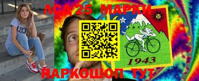 мдпв Камень-на-Оби