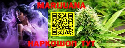 мдпв Камень-на-Оби