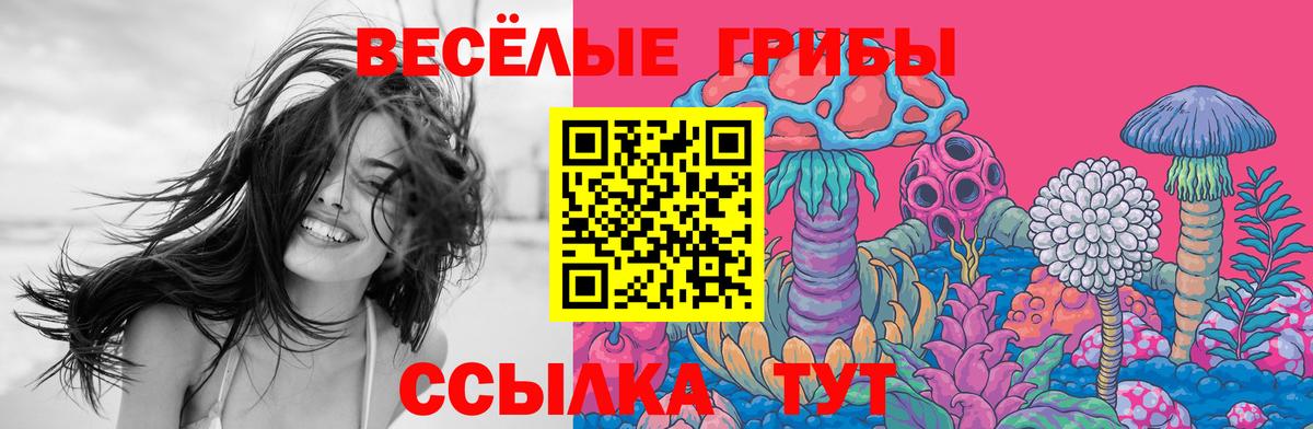 Октябрьский  купить наркотик  Псилоцибиновые грибы прущие грибы  Вход с VPN  Псилоцибиновые грибы Psilocybe 